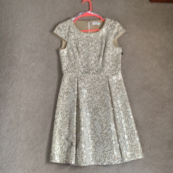 NWT Calvin Klein Sequin Ivory Lace Sheath Dress 6 - Picture 8 of 9
